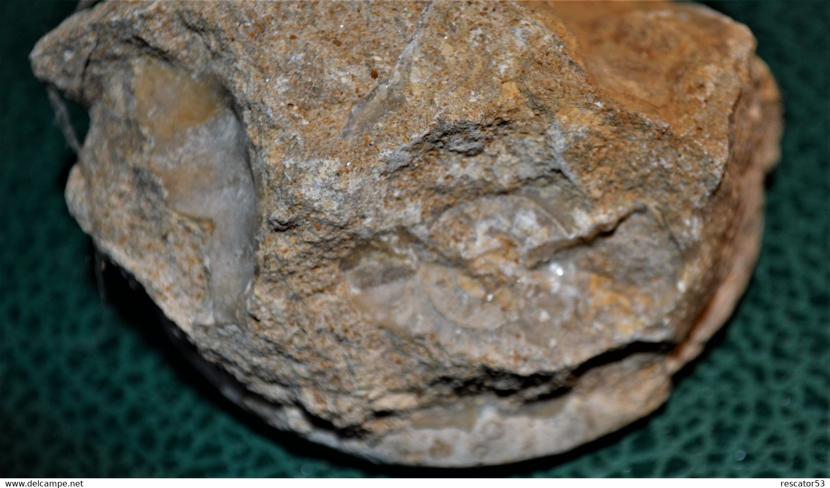Jolie Ammonite De 8x8cm Avec Petite Ammonite Au Dos 270 Grammes - Fossiles