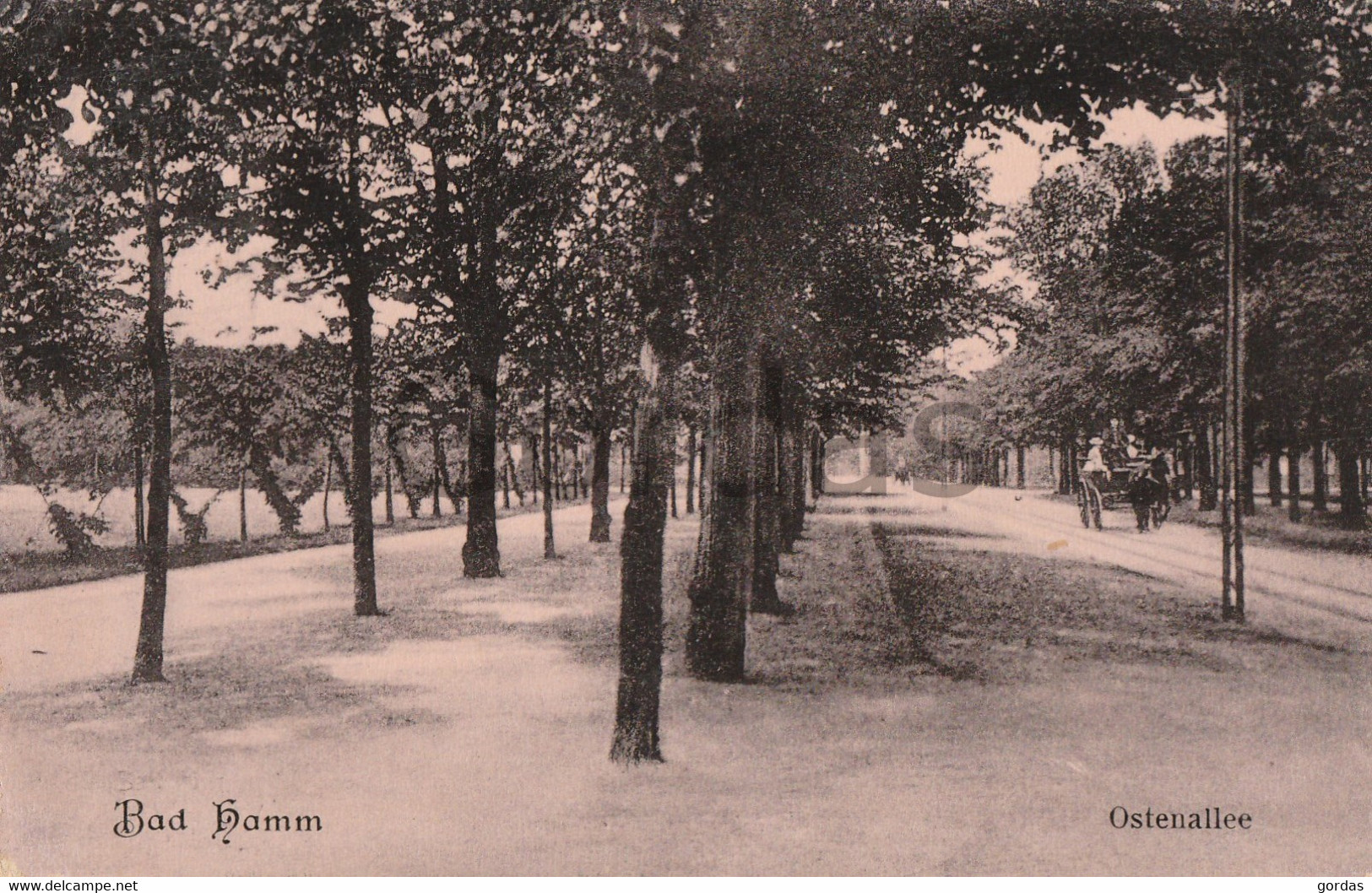 Germany - Bad Hamm - Park - Ostenallee - Carriage - Hamm