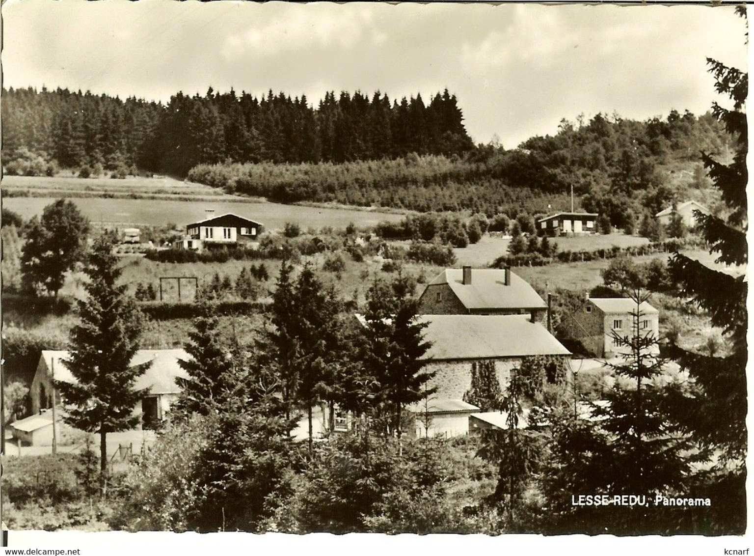 CP De LESSE - REDU " Panorama " ( Libin ) - Libin