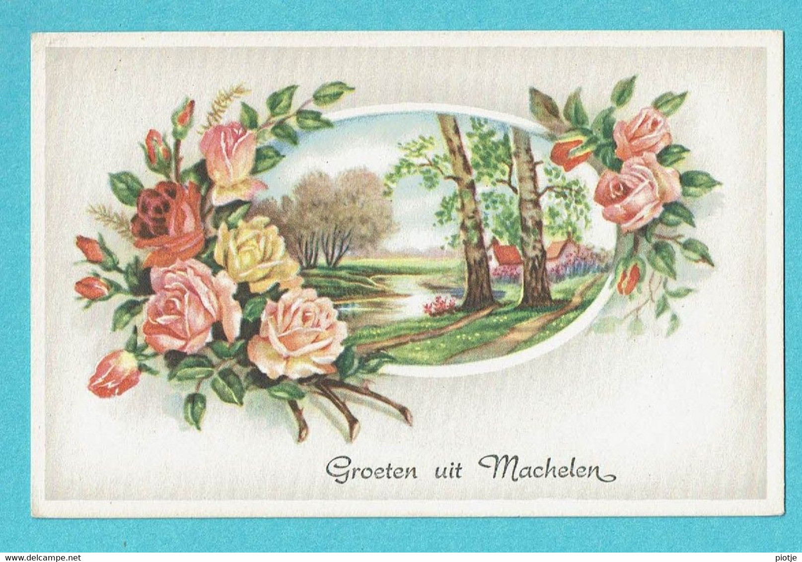 * Machelen (Vlaams Brabant) * (Colorprint 53849/1) Groeten Uit Machelen, Fantaisie, Fleurs, Graine De Roses, Old - Machelen