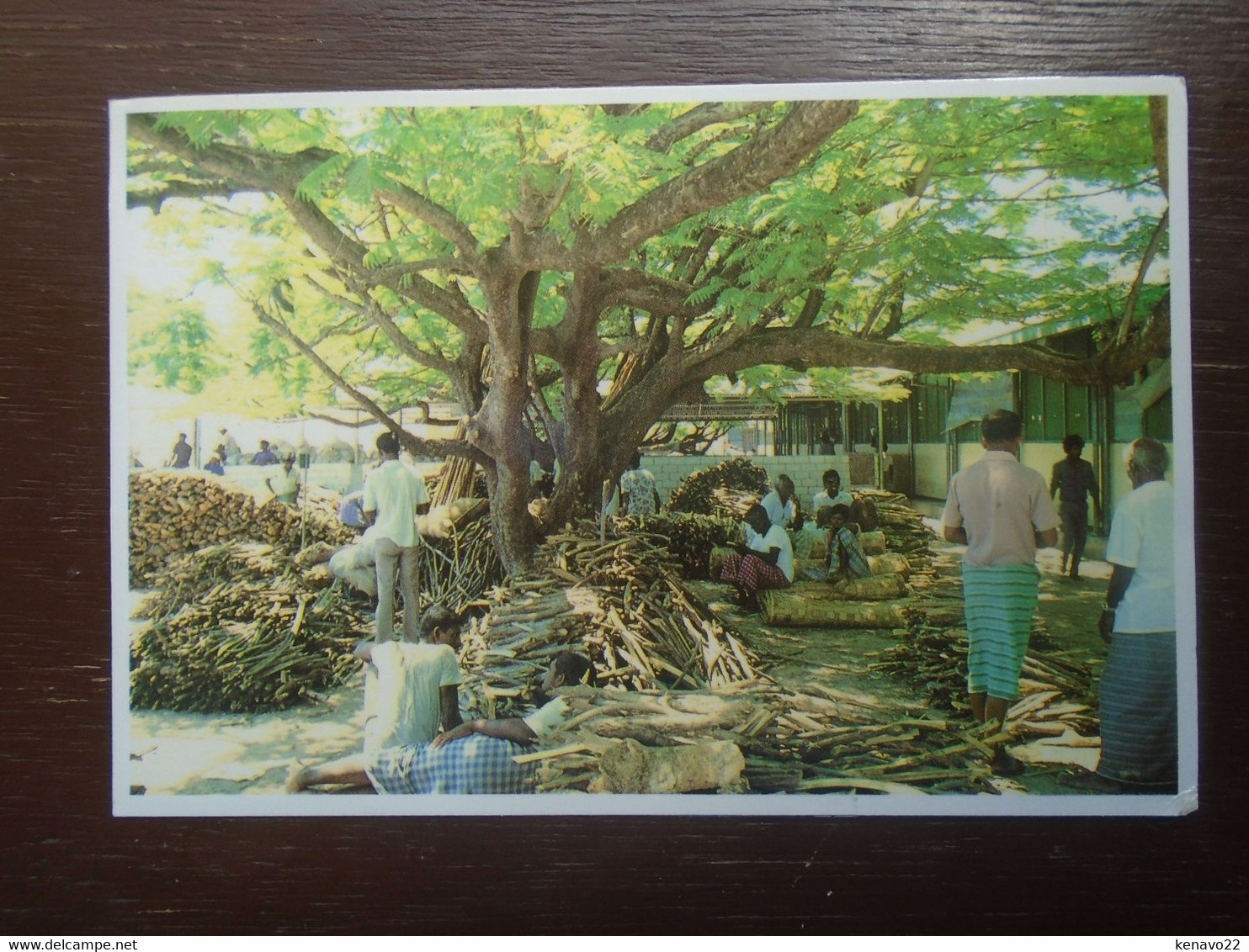 Maldives The Paradise Islands , Firewood Market In The Capital Male "" Beau Timbre "" - Maldive