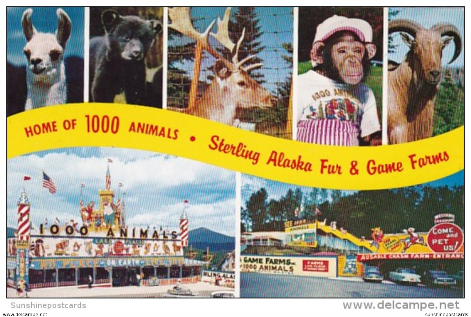 New York Lake Placid &amp; Ausable Chasm Sterling Alaska Fur &amp; Game Farms - Adirondack