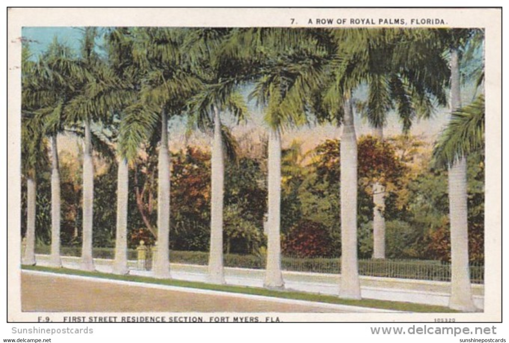 Florida Fort Myers Palm Lined First Street Residence Section Curteich - Fort Myers