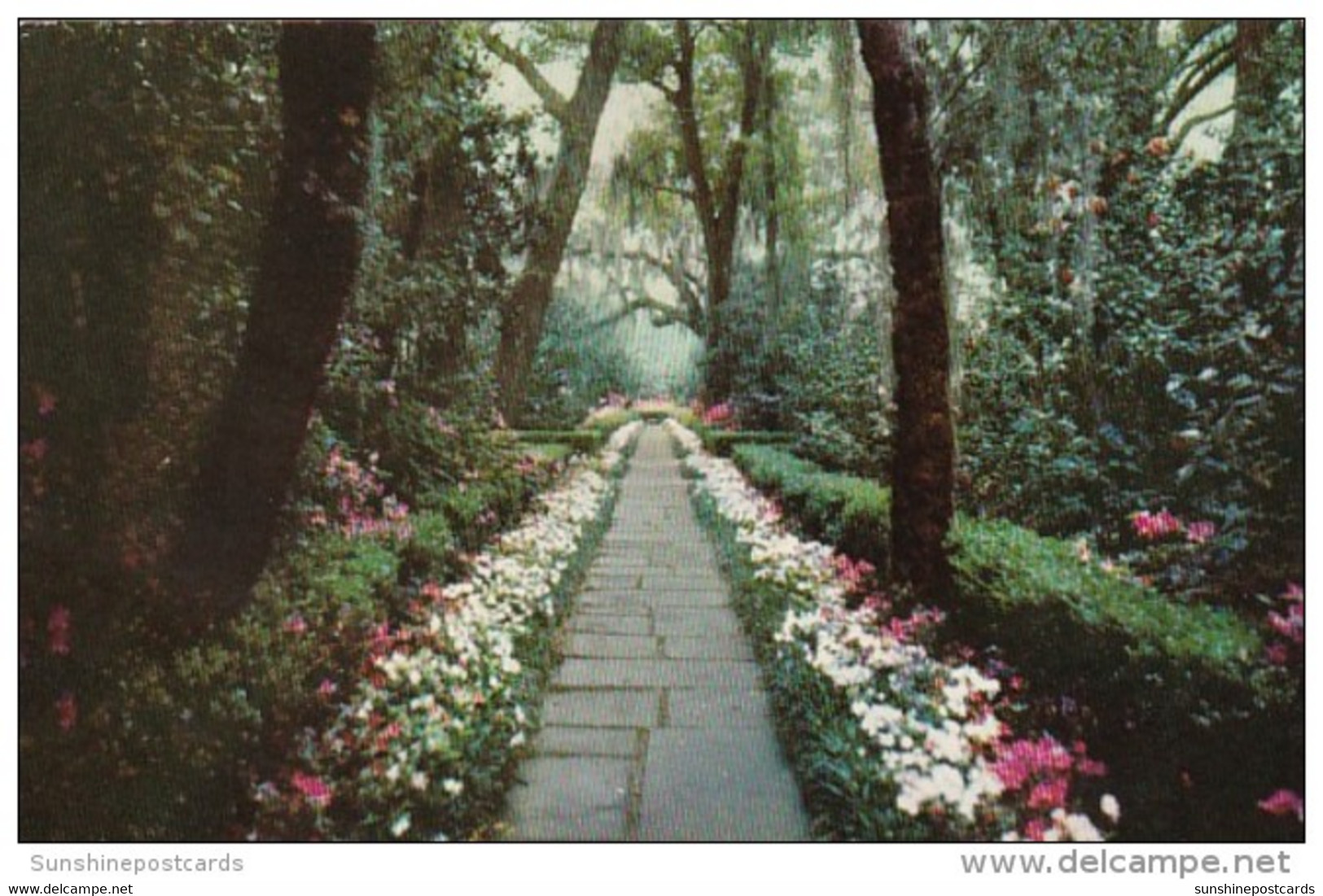 Alabama Mobile Bellingrath Gardens Path Lined With Camellias And Azaleas - Mobile