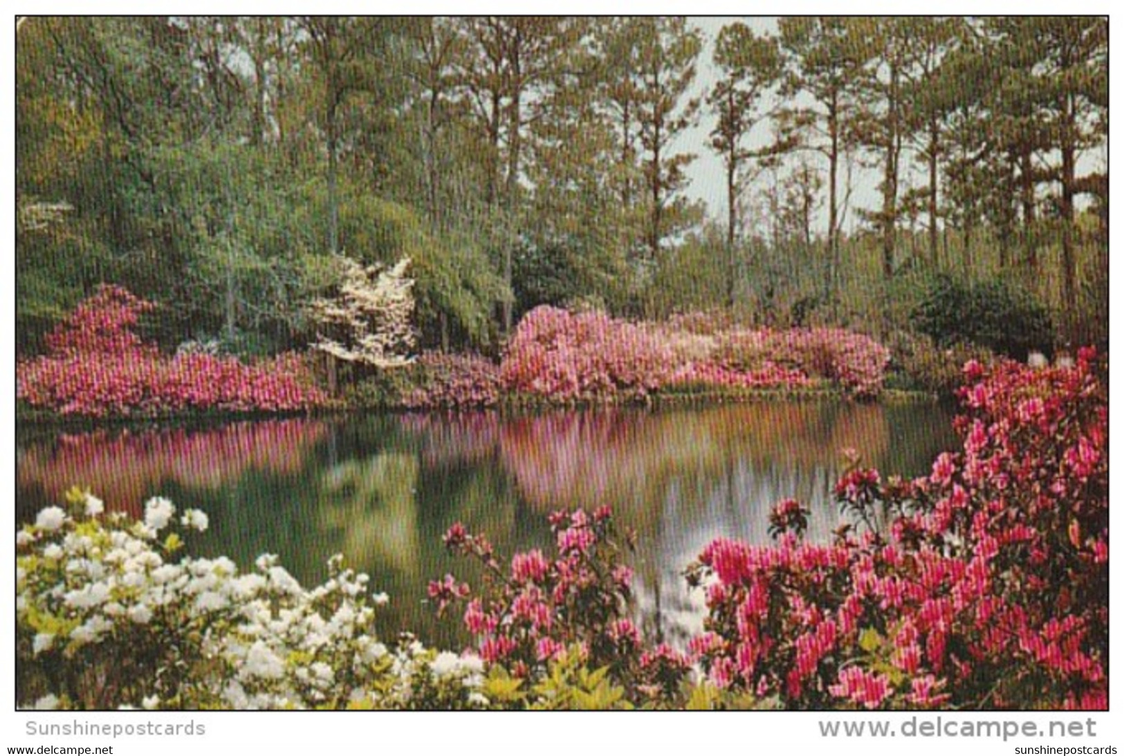 Alabama Mobile Bellingrath Gardens Mirror Lake 1957 - Mobile