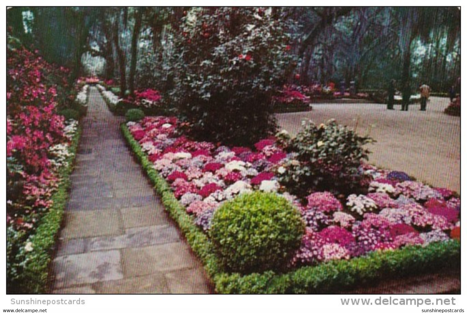 Alabama Mobile Bellingrath Gardens Flagstone Walk Lined With Camellias And Azaleas - Mobile