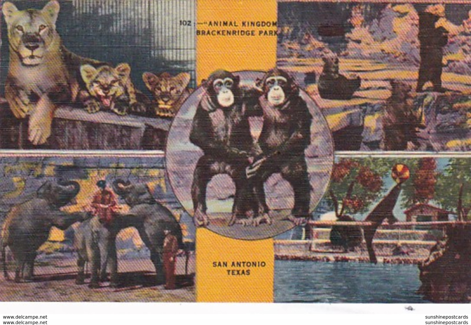 Texas San Antonio Animal Kingdom Lions Elephants Monkeys & Bears Brackenridge Park 1945 - San Antonio