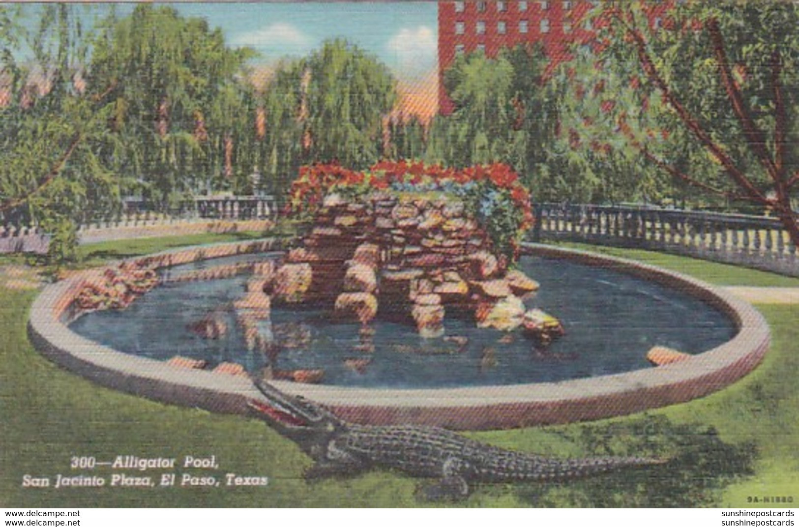 Texas San Antonio Alligator Pool San Jacinto Plaza Curteich - San Antonio