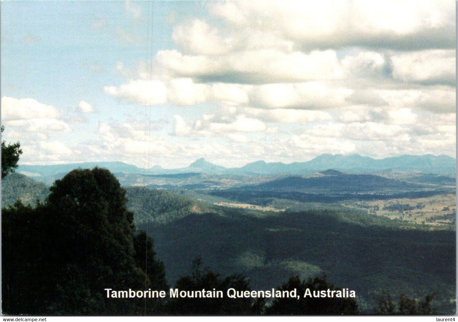 (3 H 43) Australia - QLD - Tamborine Mountains - Atherton Tablelands