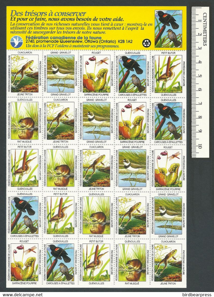 B69-36 CANADA Canadian Wildlife Federation Nature Seals Sheet 1993 MNH French - Local, Strike, Seals & Cinderellas