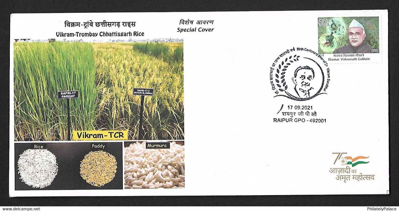INDIA 2021 Vikram Chattisgarh Rice-  Slogan "Corona Warrior COVID-19 Vaccination Virus Mask Coronavirus (**) Inde Indien - Lettres & Documents
