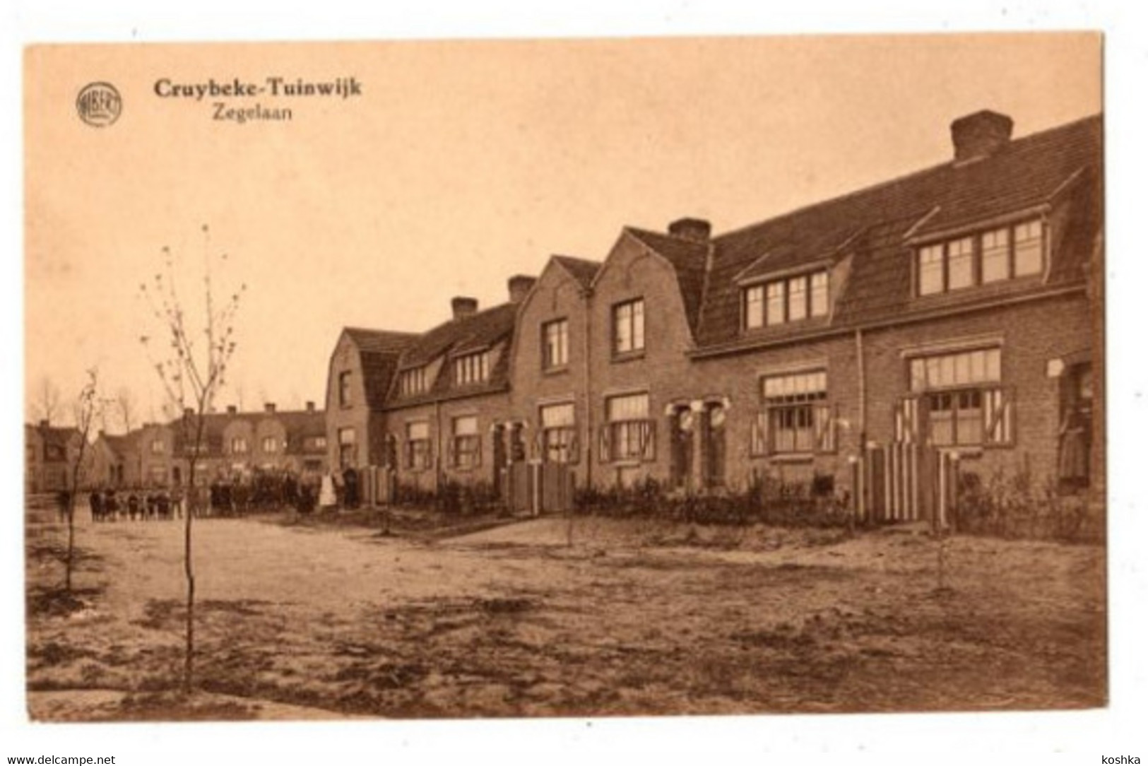 CRUYBEKE - Tuinwijk - Zegelaan - Niet Verzonden - Albert Kaart - Kruibeke