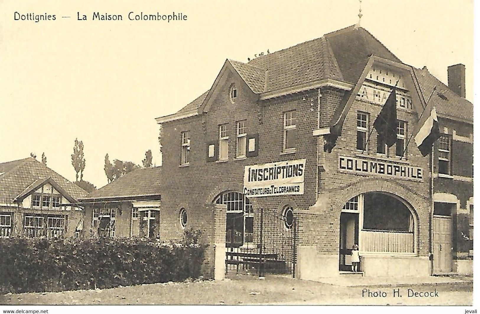 CPA/PK/AK  -  DOTTIGNIES  La Maison Colombophile - Mouscron - Möskrön