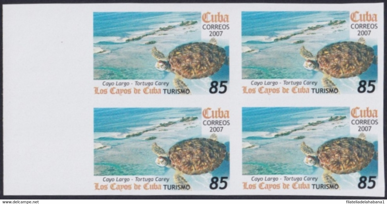 2007.701 CUBA 2007 85c MNH IMPERFORATED PROOF VIRGEN KEY FAUNA TURTLE TORTUGAS. - Sin Dentar, Pruebas De Impresión Y Variedades