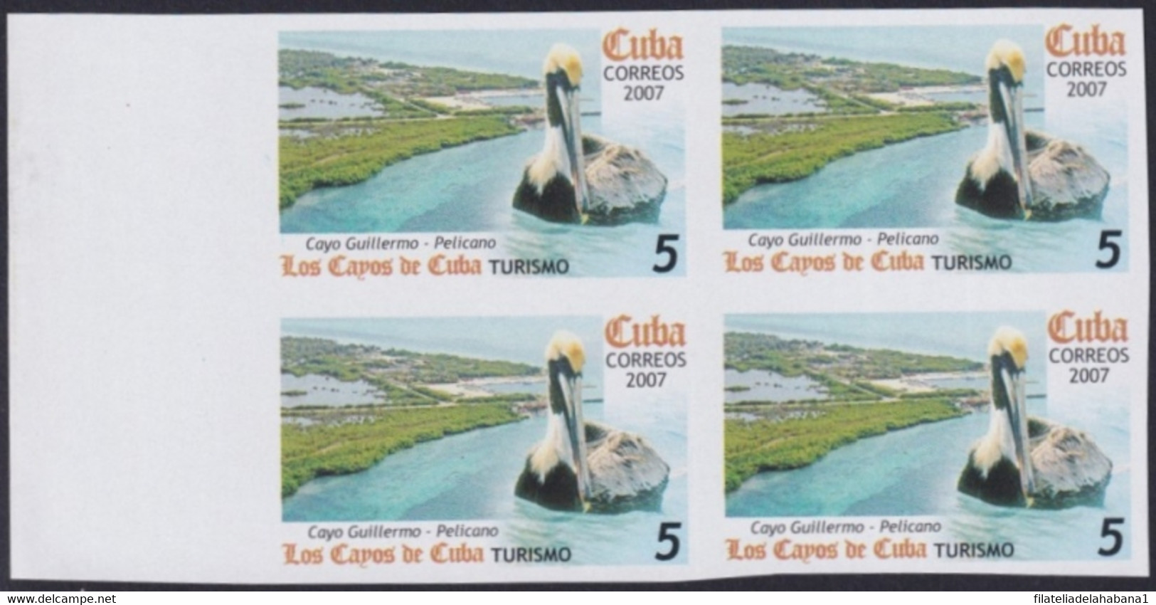 2007.702 CUBA 2007 5c MNH IMPERFORATED PROOF VIRGEN KEY FAUNA BIRD PELICAN AVES PAJAROS. - Non Dentelés, épreuves & Variétés