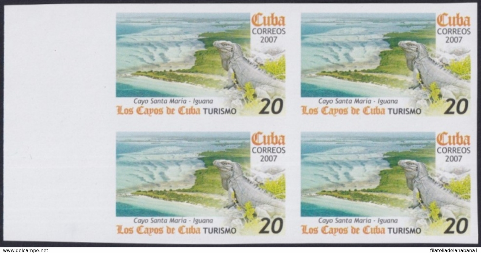 2007.704 CUBA 2007 20c MNH IMPERFORATED PROOF VIRGEN KEY FAUNA LIZARD IGUANAS. 29,99 - Geschnittene, Druckproben Und Abarten