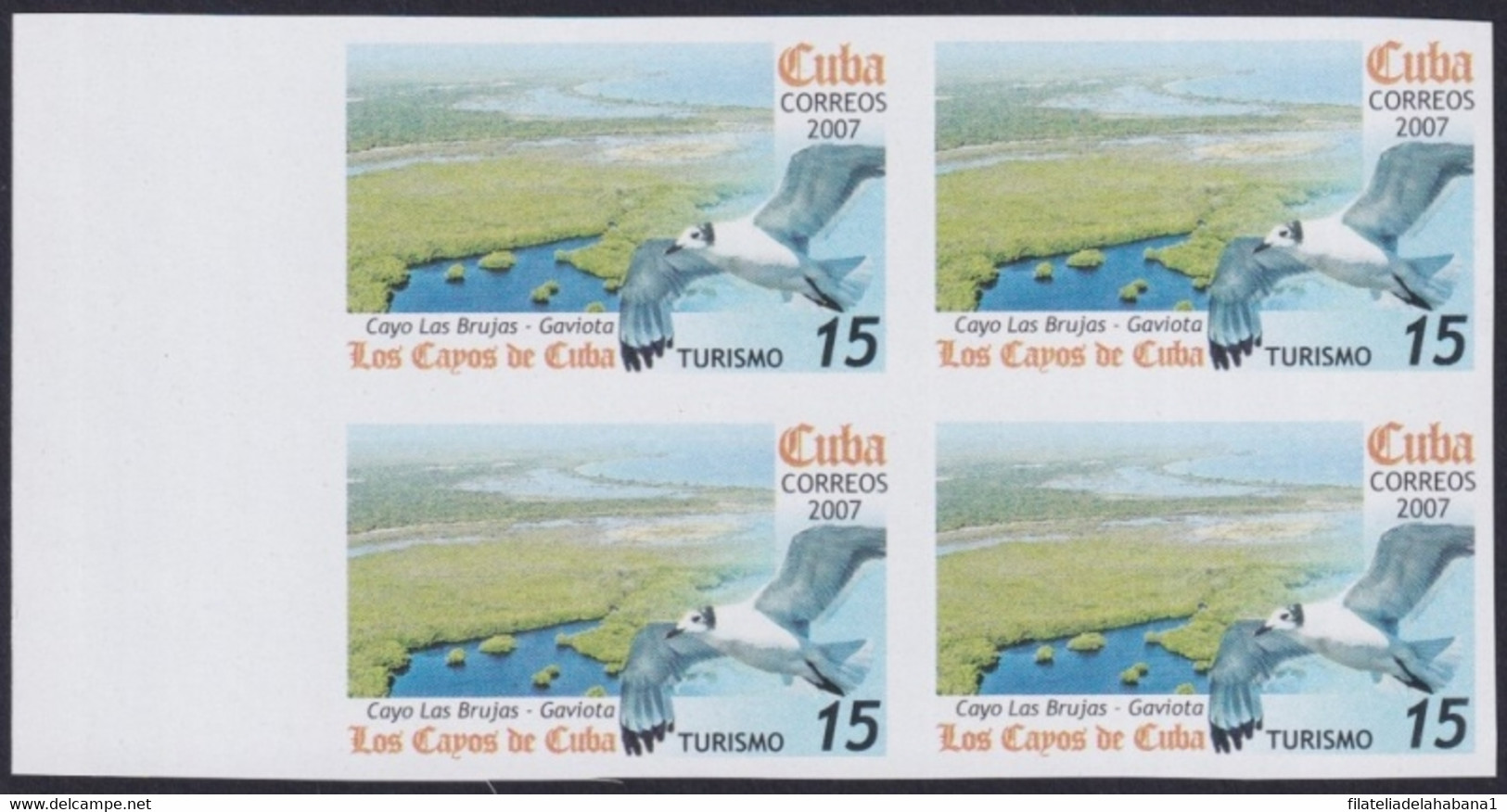 2007.705 CUBA 2007 15c MNH IMPERFORATED PROOF VIRGEN KEY FAUNA GAVIOTA BIRD AVES PAJAROS. - Ongetande, Proeven & Plaatfouten