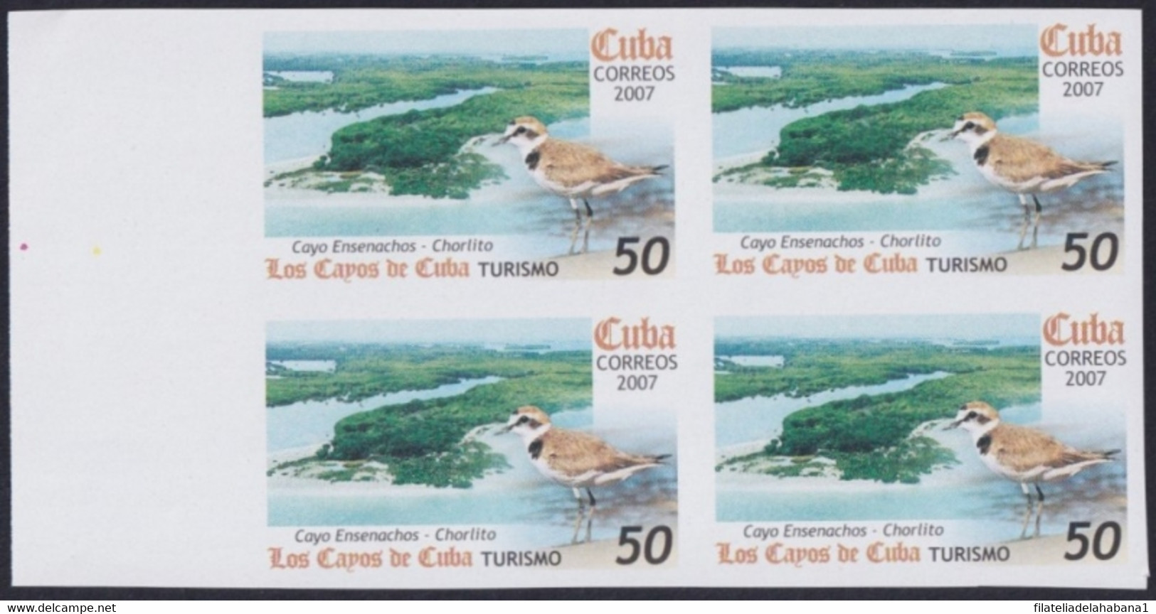 2007.706 CUBA 2007 50c MNH IMPERFORATED PROOF VIRGEN KEY FAUNA CHORLITO BIRD AVES PAJAROS. - Imperforates, Proofs & Errors