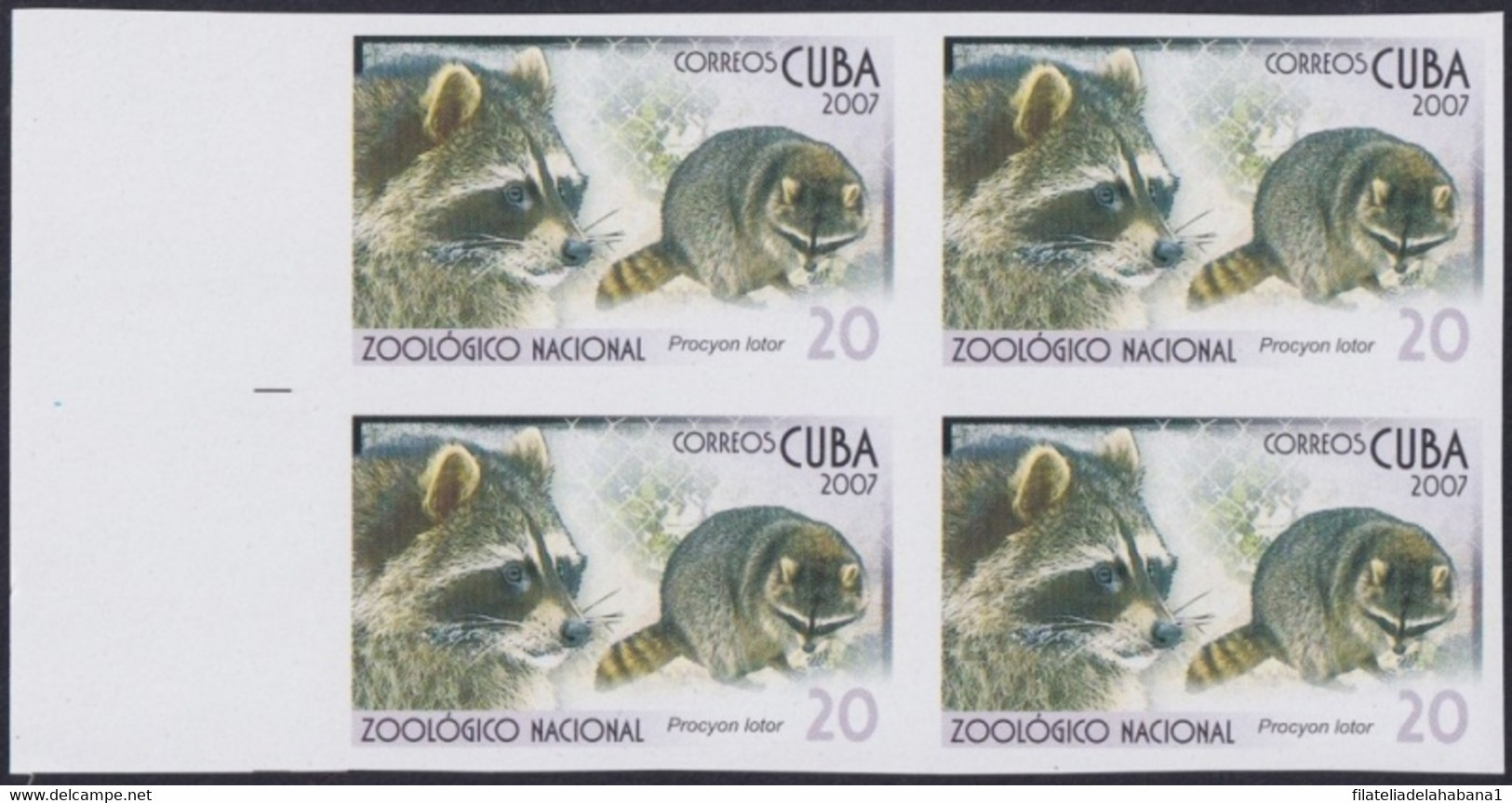 2007.709 CUBA 2007 20c MNH IMPERFORATED PROOF VIRGEN KEY FAUNA ZOO MAPACHE. - Imperforates, Proofs & Errors