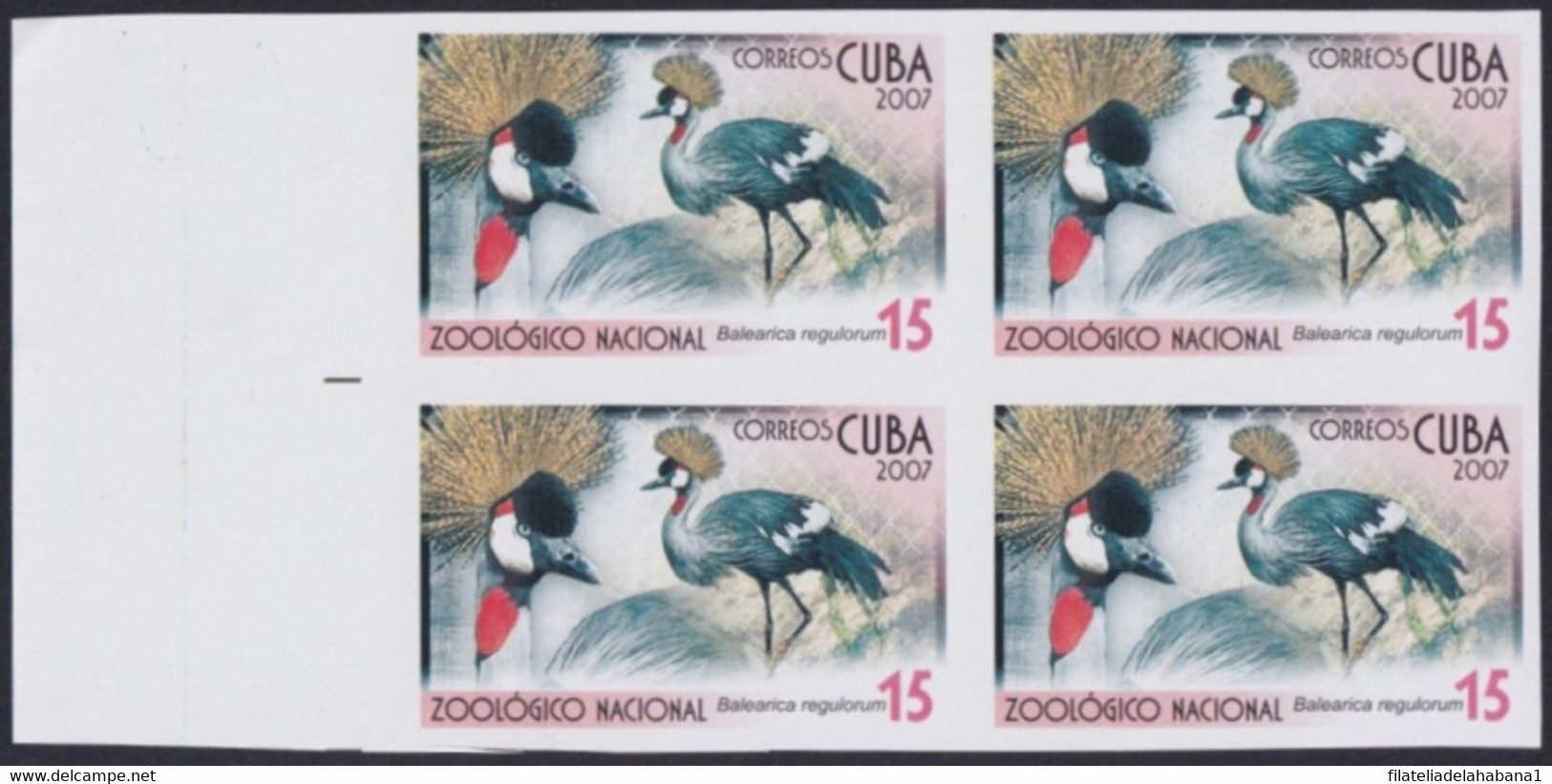 2007.711 CUBA 2007 15c MNH IMPERFORATED PROOF VIRGEN KEY FAUNA ZOO BALEARICA BIRD AVES PAJAROS. - Non Dentelés, épreuves & Variétés