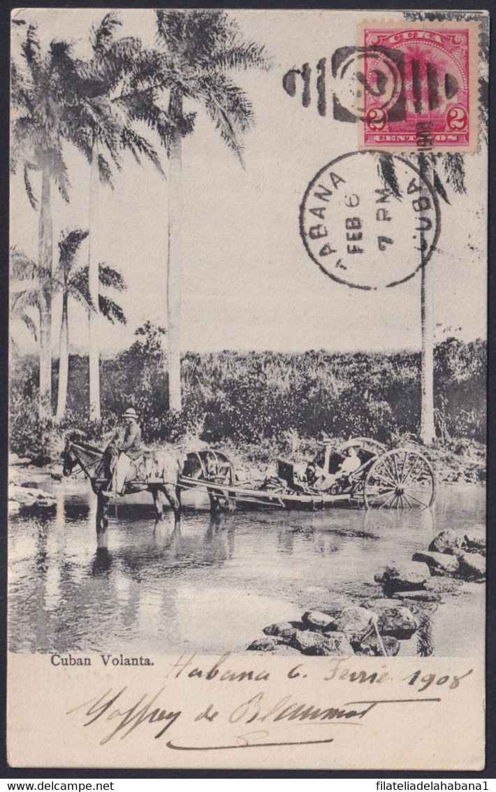 TMA-693 CUBA REPUBLICA 2c 1908 TARJETA MAXIMA PALMAS LANDSCAPE RIVER PALM MAXIM CARD TO SWITZERLAND. - Maximumkarten