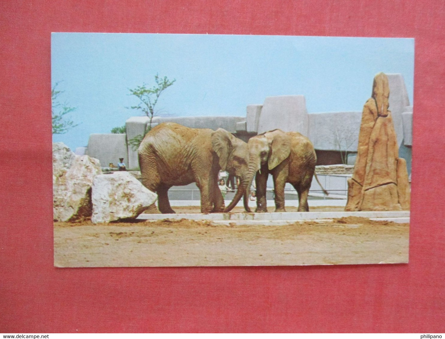 Elephants  Louisville KY. Zoo.   Ref 5599 - Elefantes