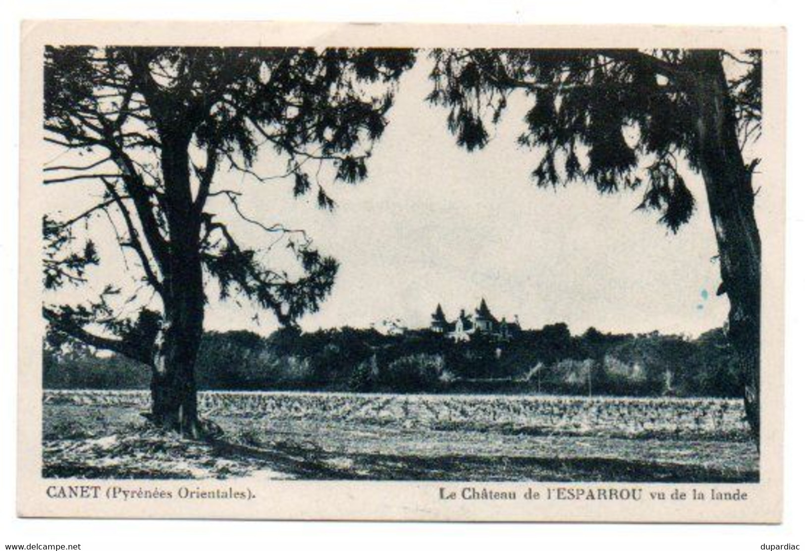 66 - Pyrénées Orientales / CANET -- Le Château De L'ESPARROU Vu De La Lande. - Canet En Roussillon