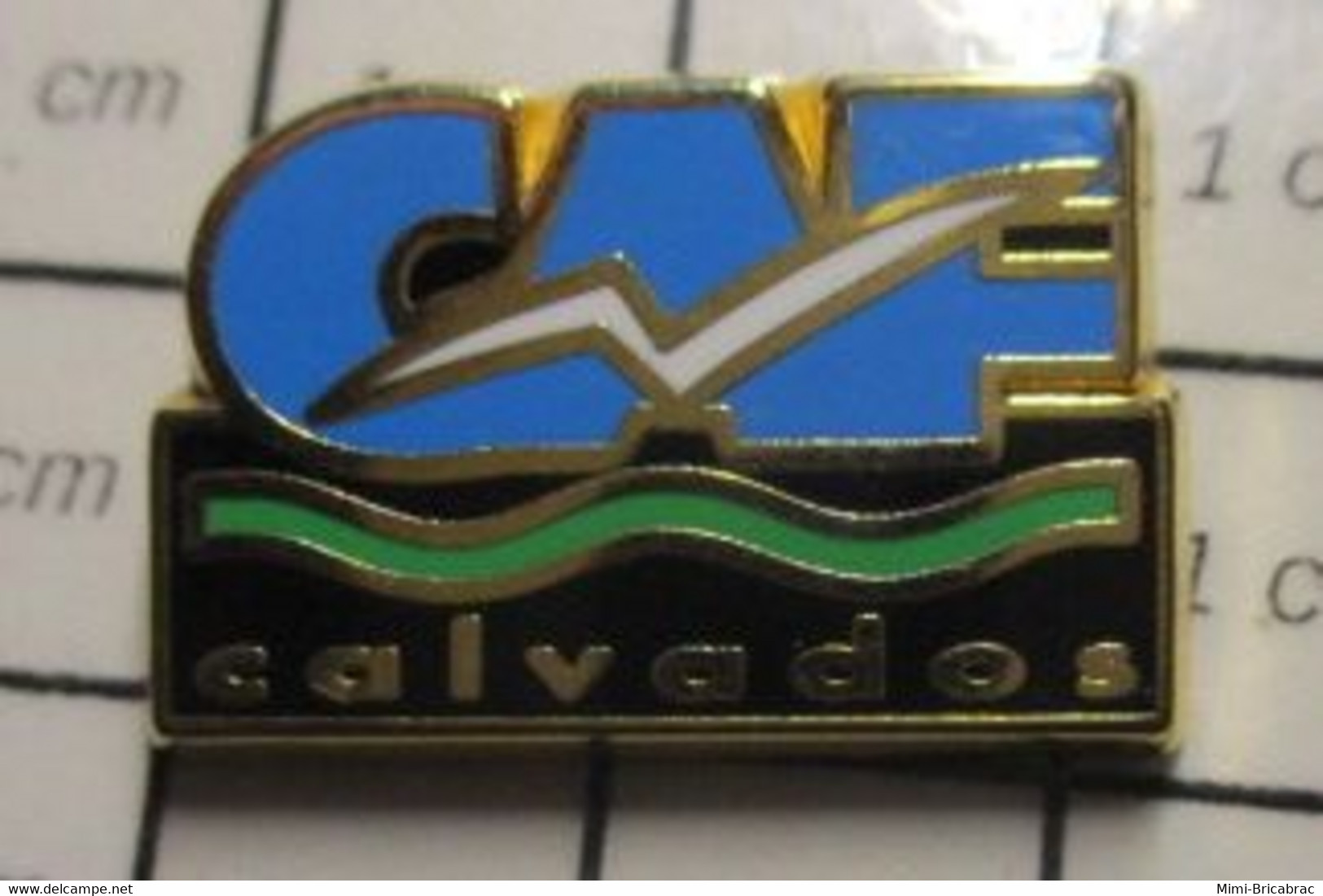 610e Pin's Pins / Beau Et Rare / THEME : ADMINISTRATIONS / CAF CALVADOS ALLOCATIONS FAMILIALES - Administrations