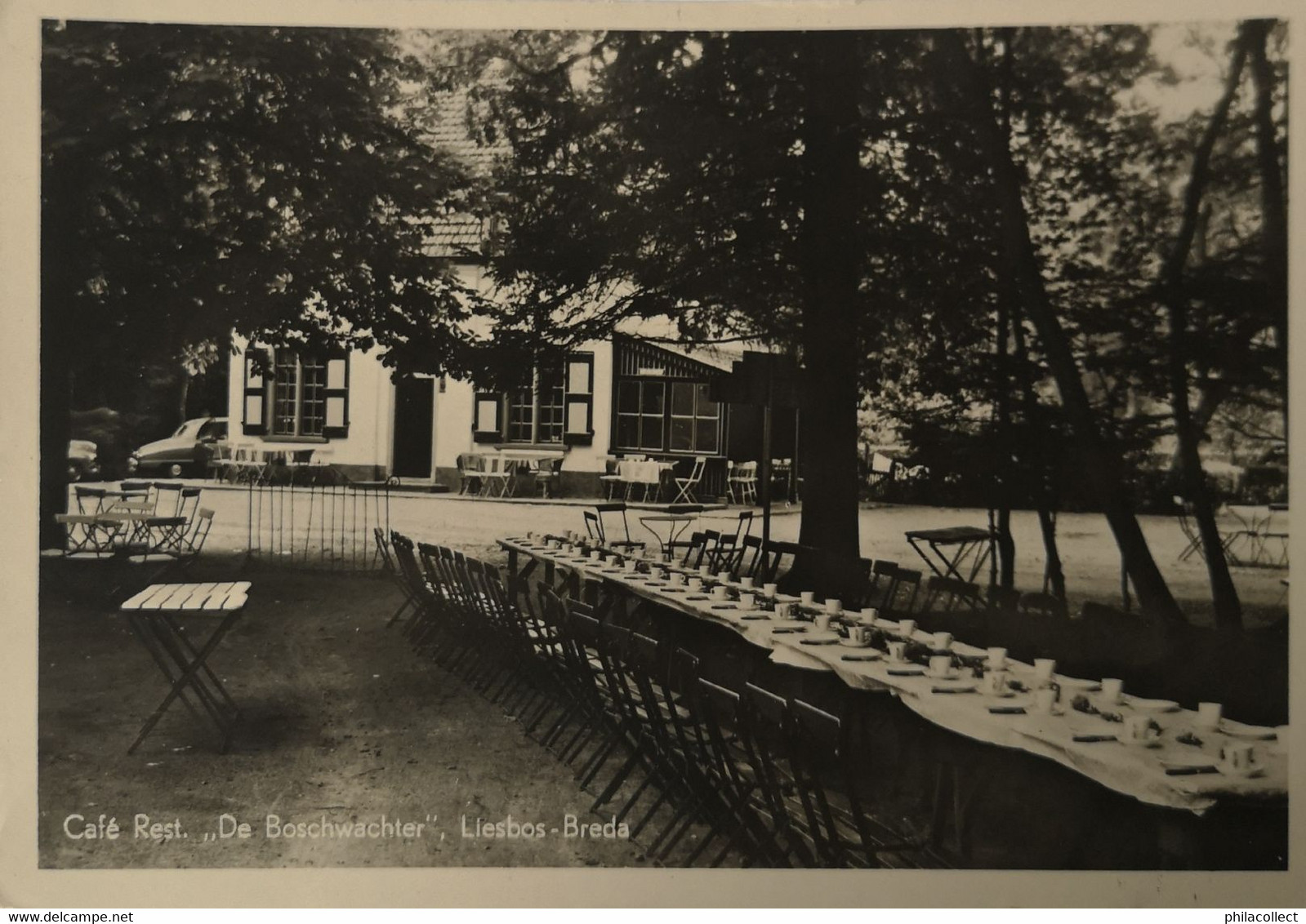 Breda (N - Br.)  Liesbos // Cafe - Rest De Boswachter (terras) 1950 - Breda