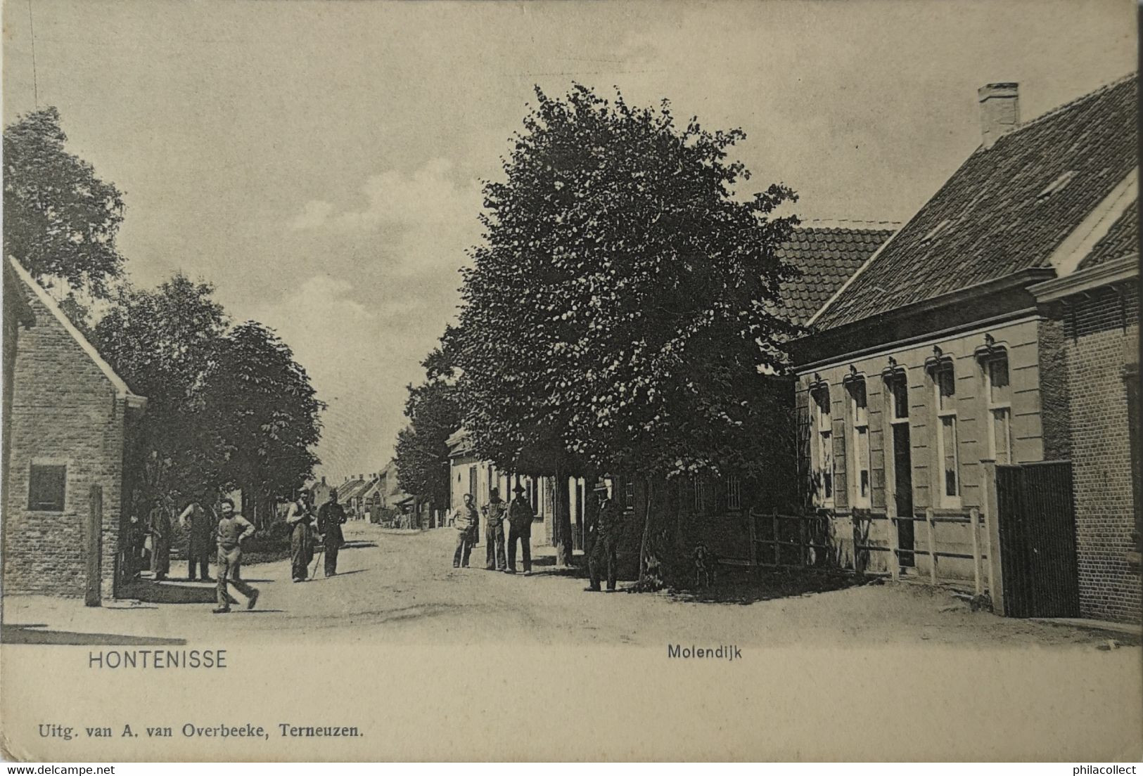 Hontenisse (Hulst) (Zld.) Molendijk Ca 1900 - Hulst