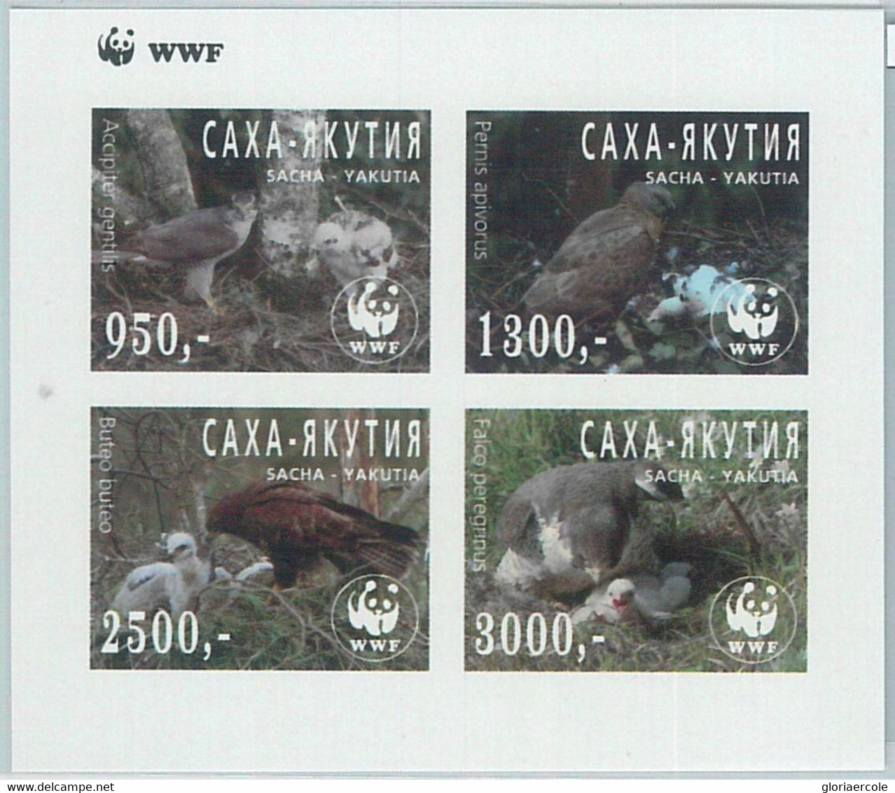 M1980 - RUSSIAN STATE, IMPERF SHEET: WWF, Birds Of Prey, Falcons, Fauna   R04.22 - Oblitérés