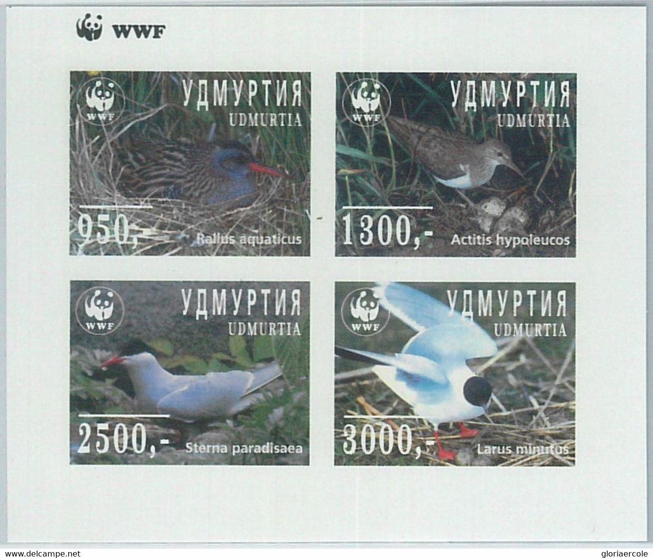 M1981 - RUSSIAN STATE, IMPERF SHEET: WWF, Birds, Fauna  R04.22 - Used Stamps