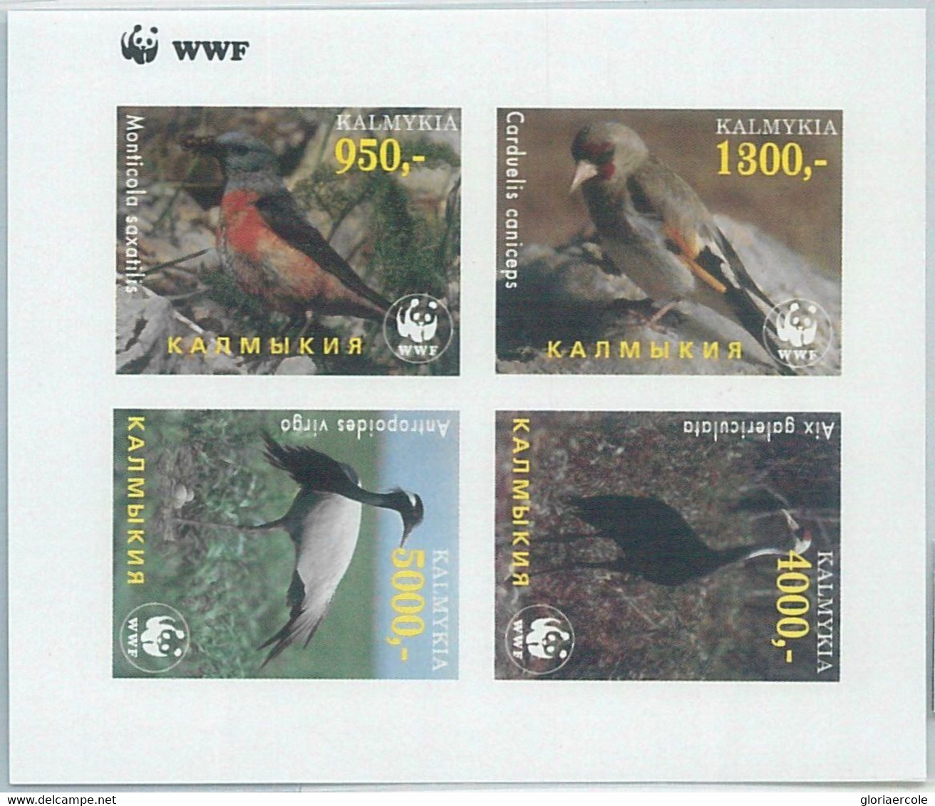 M1982 - RUSSIAN STATE, IMPERF SHEET: WWF, Birds, Fauna  R04.22 - Usados