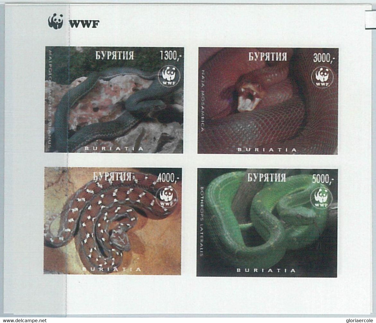 M1985 - RUSSIAN STATE, IMPERF SHEET: WWF, Snakes, Reptiles  R04.22 - Gebruikt