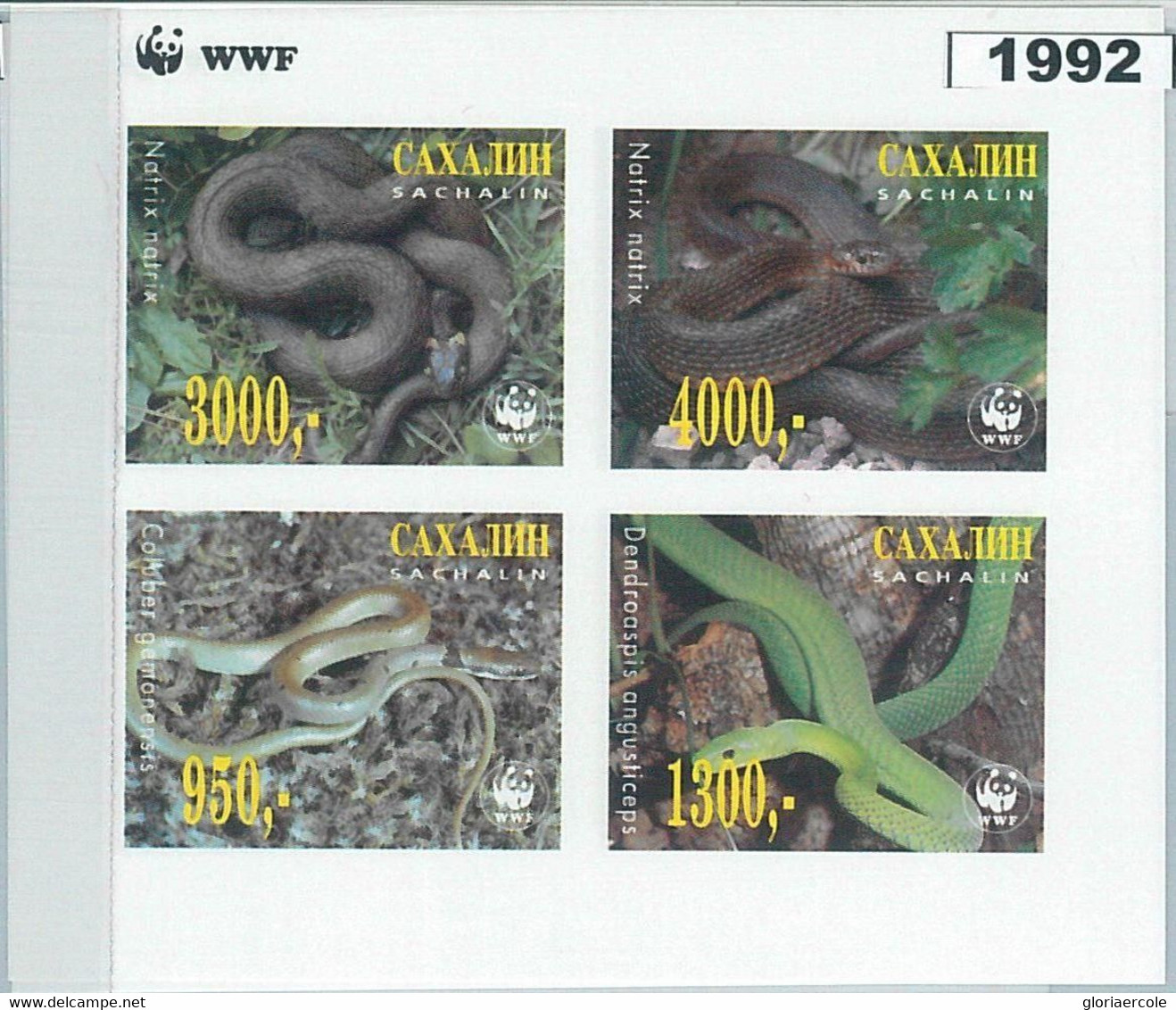 M1992 - RUSSIAN STATE, IMPERF SHEET: WWF, Snakes, Reptiles  R04.22 - Used Stamps