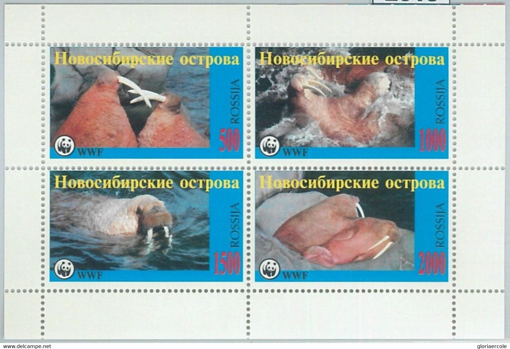 M2015 - RUSSIAN STATE, SHEET: WWF, Walruses, Seals, Marine Life, Animals  R04.22 - Gebruikt