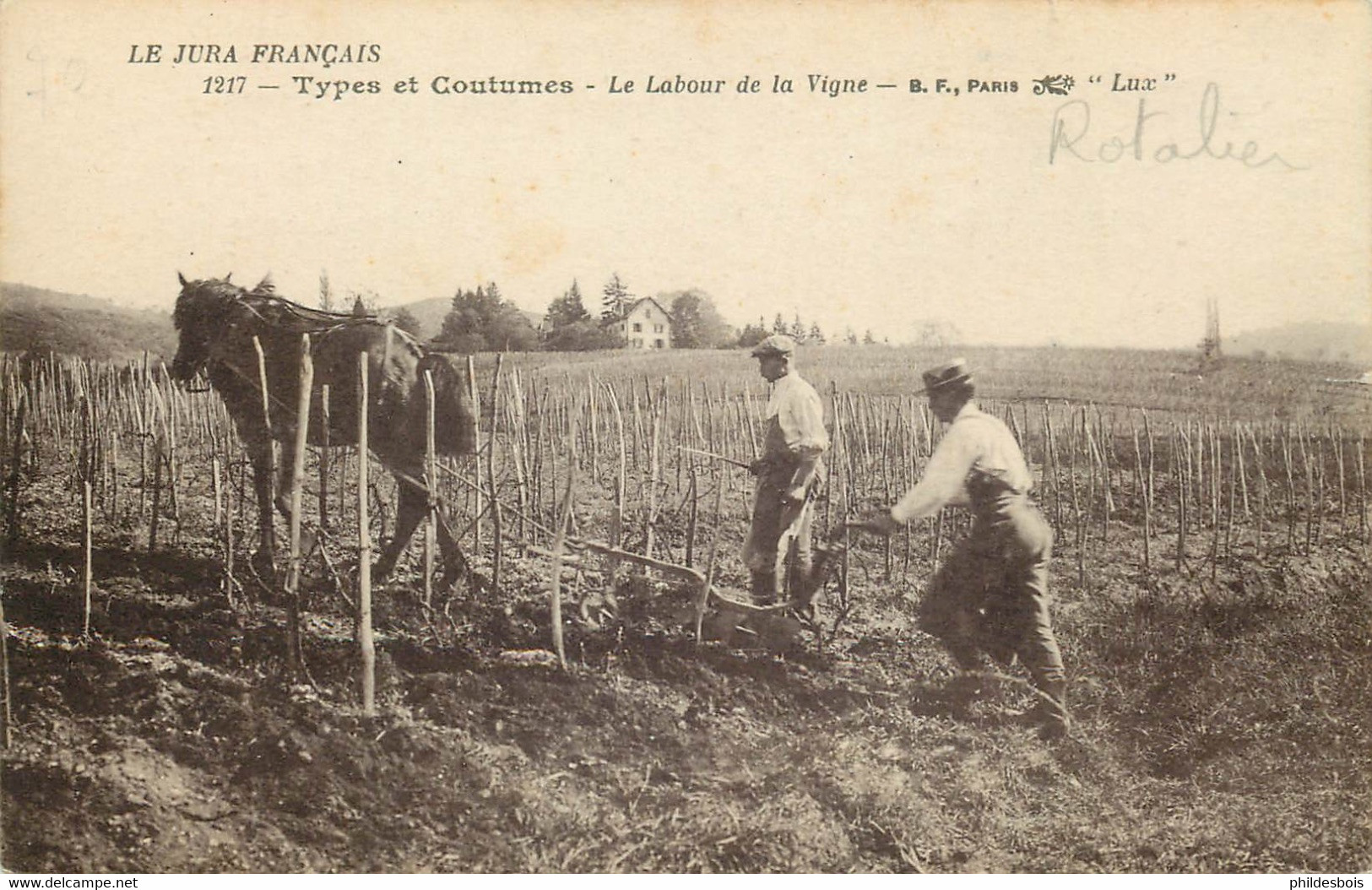 JURA  TYPES ET COUTUMES  Le Labour De La Vigne - Altri & Non Classificati