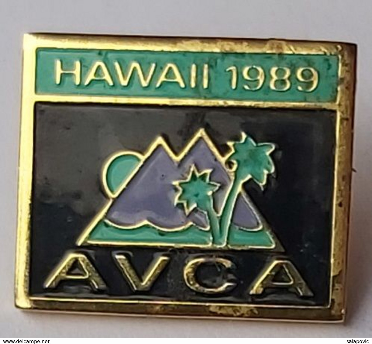 Hawaii 1989  AVCA Volleyball PIN A6/8 - Volleyball