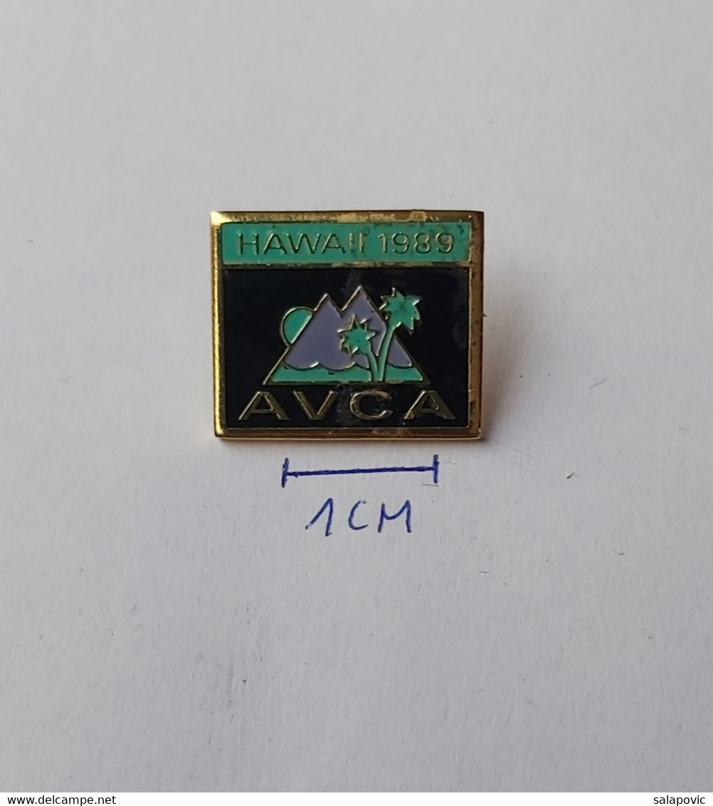 Hawaii 1989  AVCA Volleyball PIN A6/8 - Volleyball