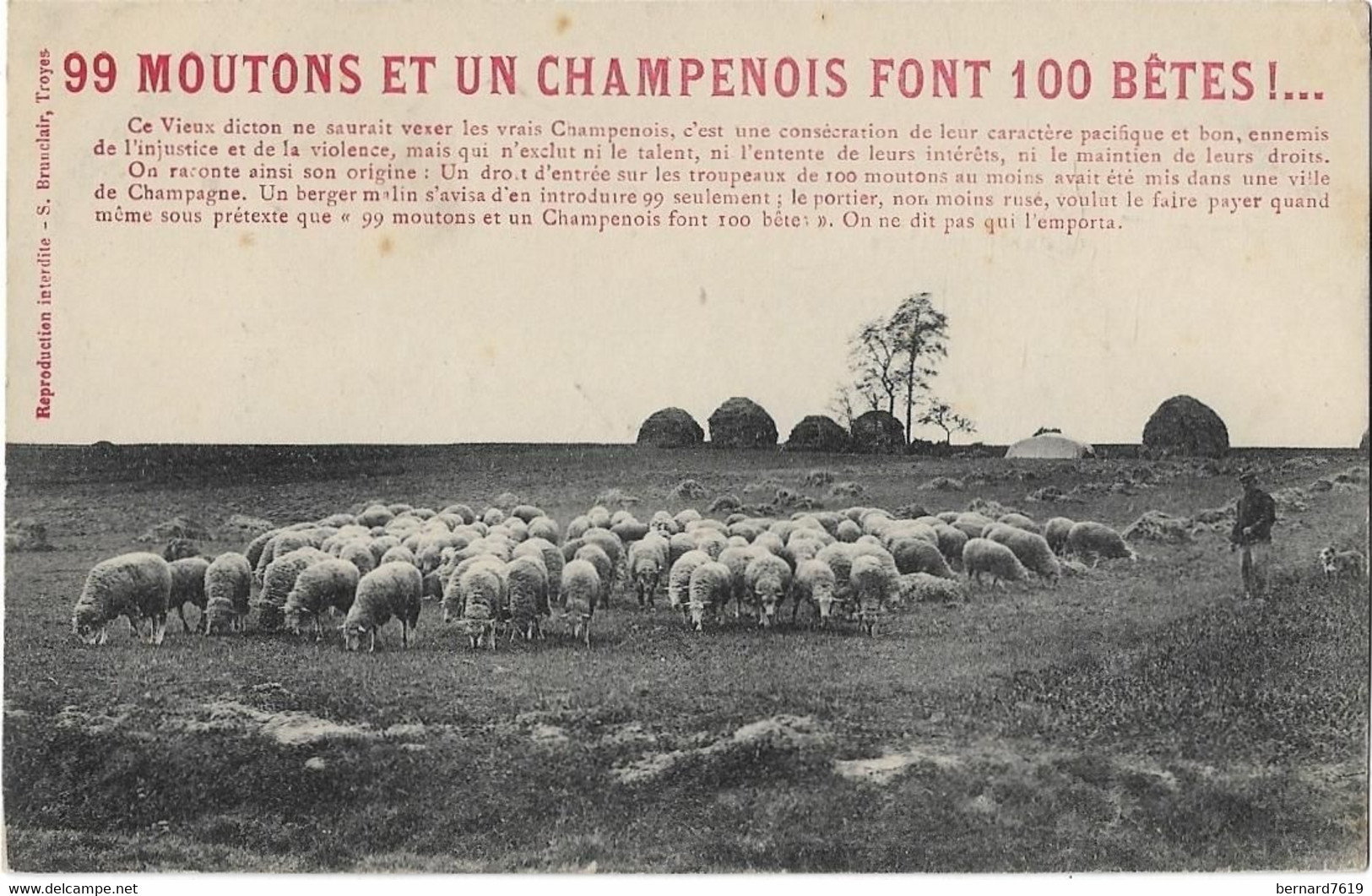 Champagne - Ardenne  -   99 Moputons  Et Un Champenois  Font 100 Betes - Champagne - Ardenne