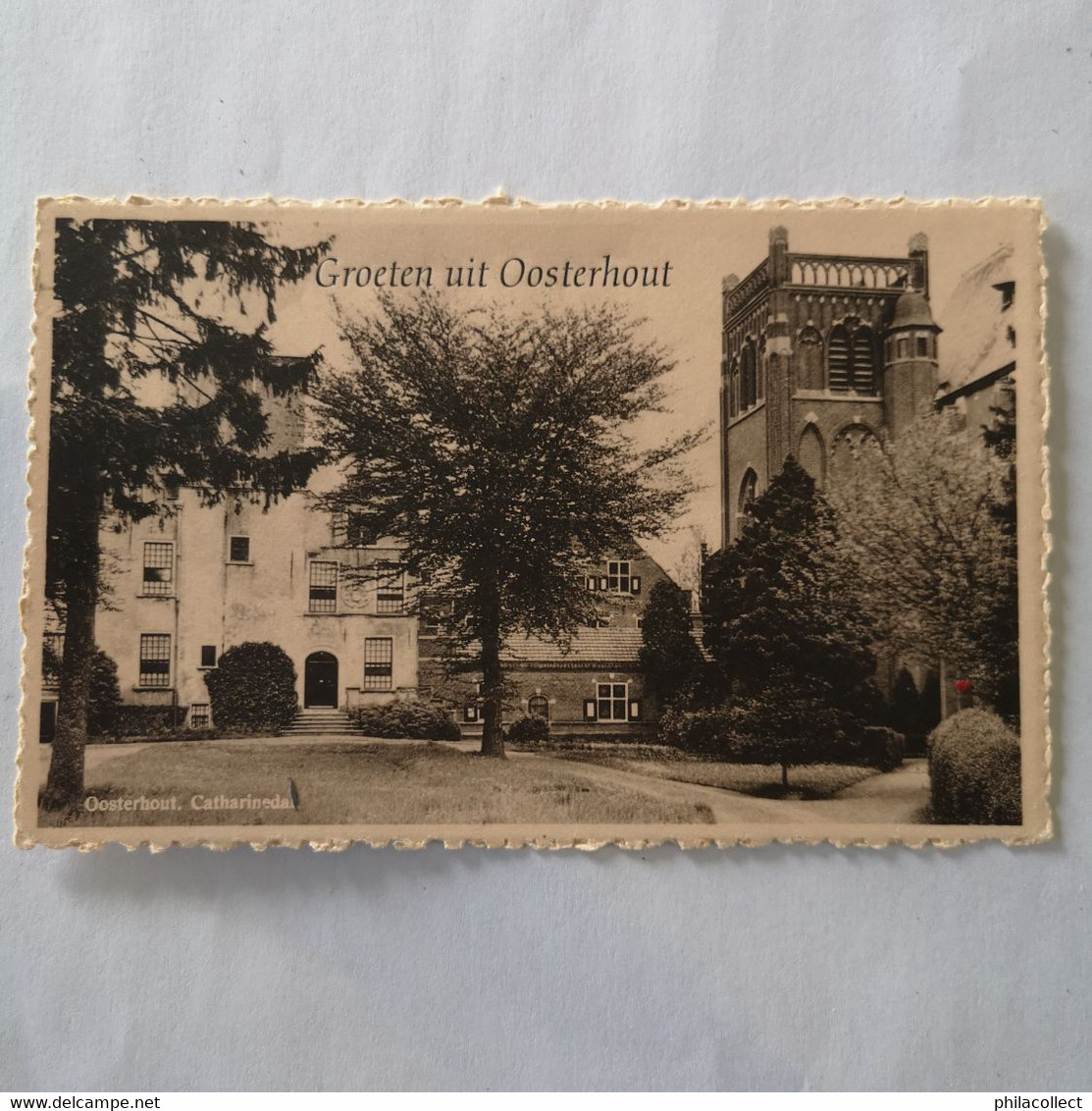 Oosterhout (N-Br.) Catherinedal 19?? - Oosterhout