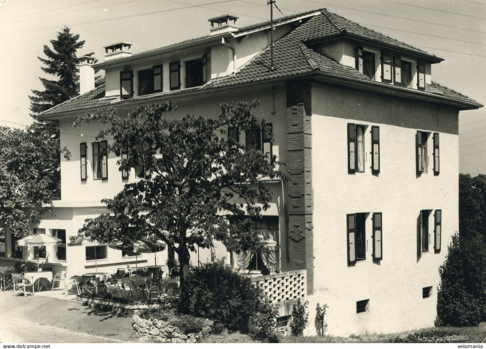 11943 Cpsm 74 Lugrin - Hôtel Sainte Marie - Lugrin