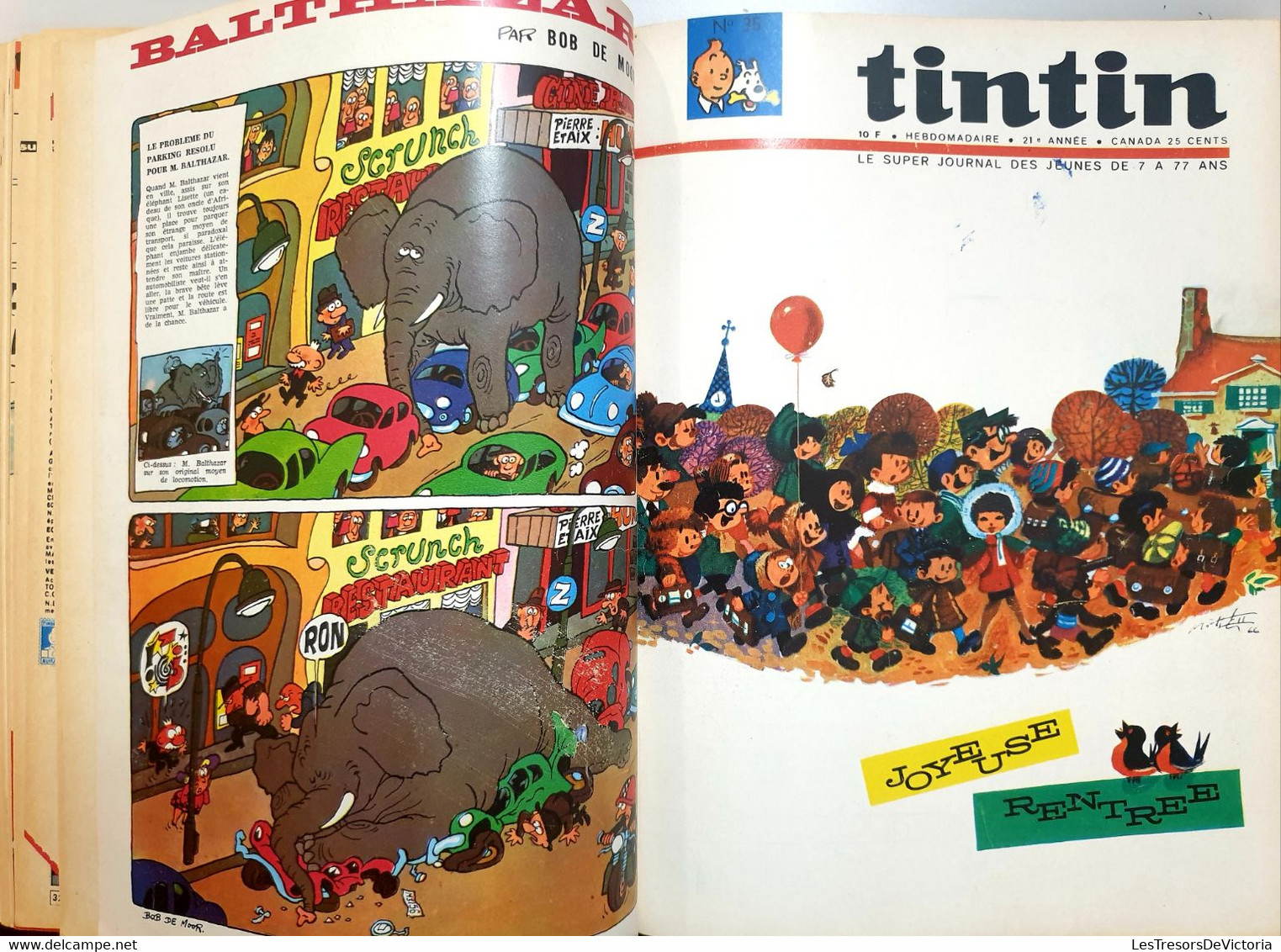 LE JOURNAL DE TINTIN Reliure Amateur 1966 - Tintin