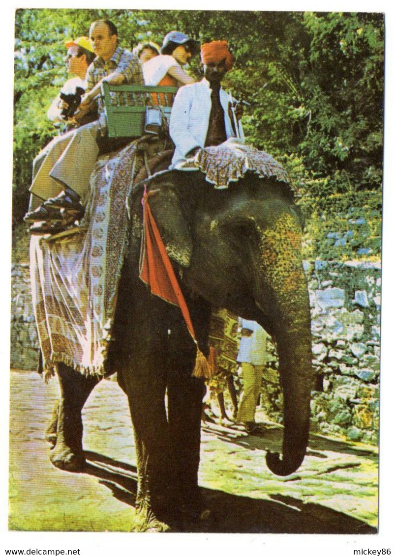 Inde -- Rajasthan--Elephant Ride At Amber Palace Of Jaipur  ( Animée).....beaux  Timbres ..........à Saisir - Indien