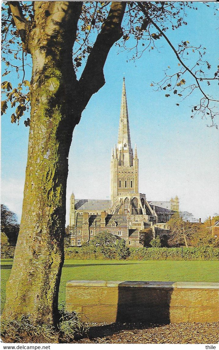 NORWICH - Cathedral From The East - Norwich