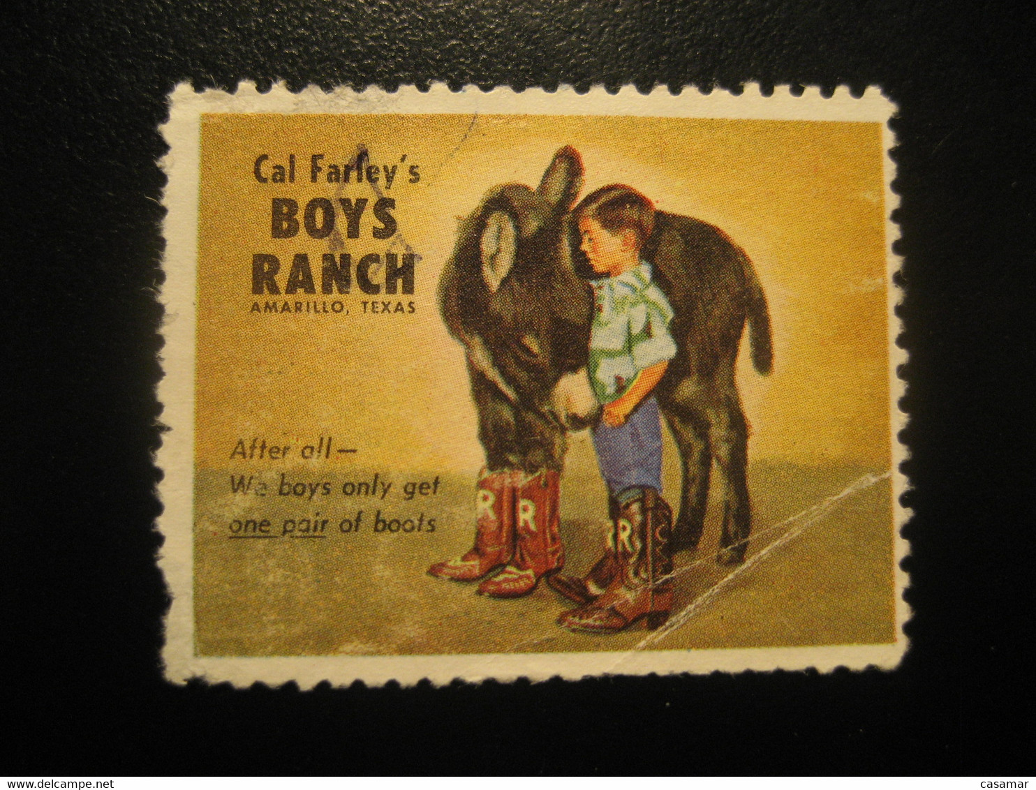 AMARILLO Texas Donkey Ane Poster Stamp Vignette Boys Ranch USA Label - Esel