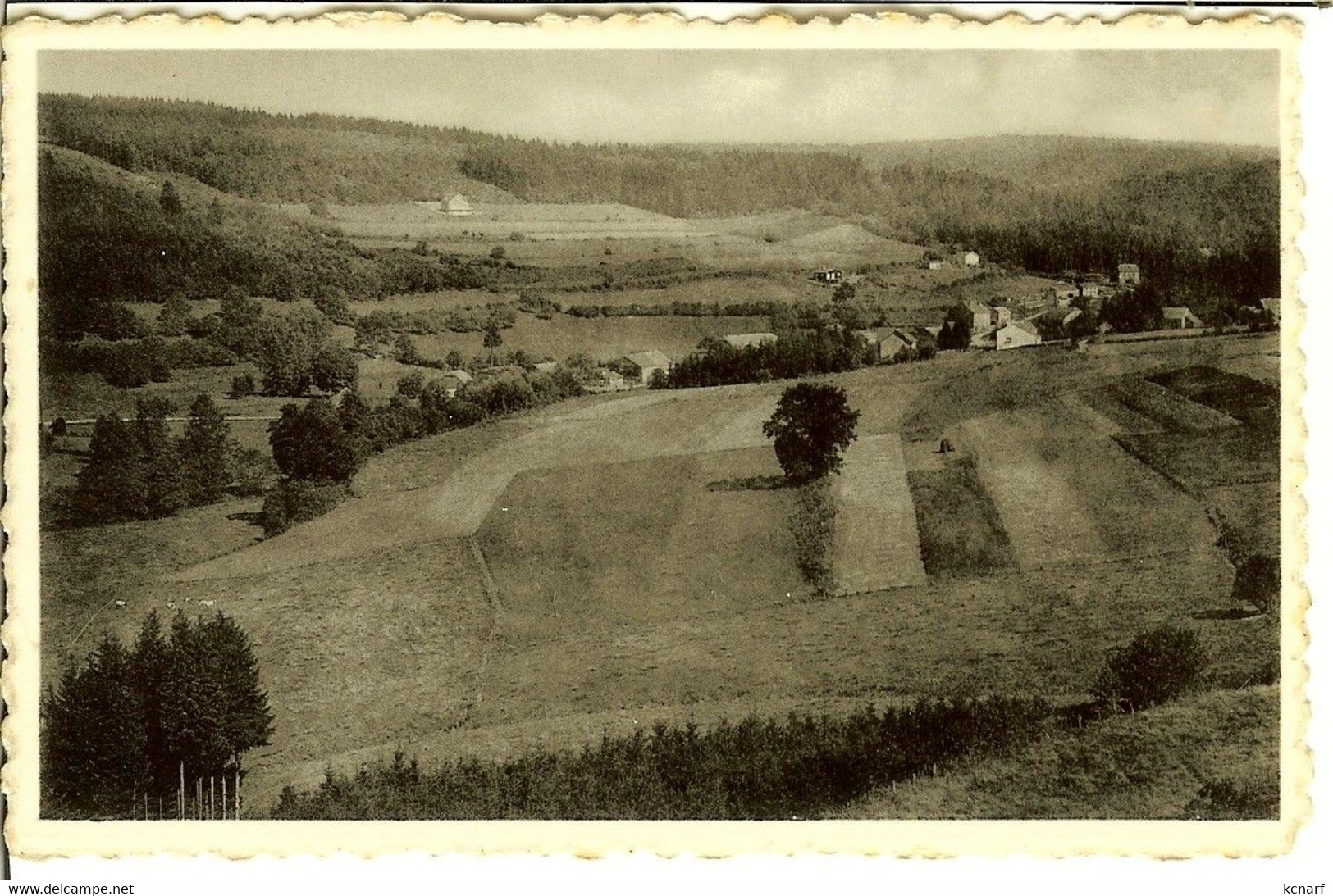 CP De LESSE ( Libin ) " Et Ses Châlets " - Libin