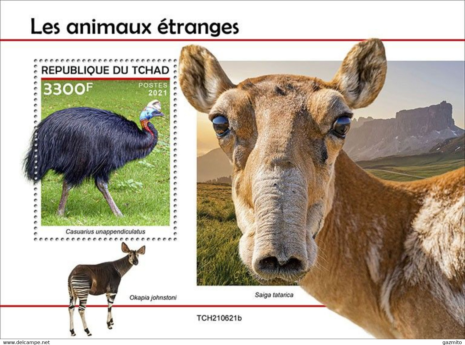 Tchad 2021, Animals, Ostrich, 4val In BF - Ostriches