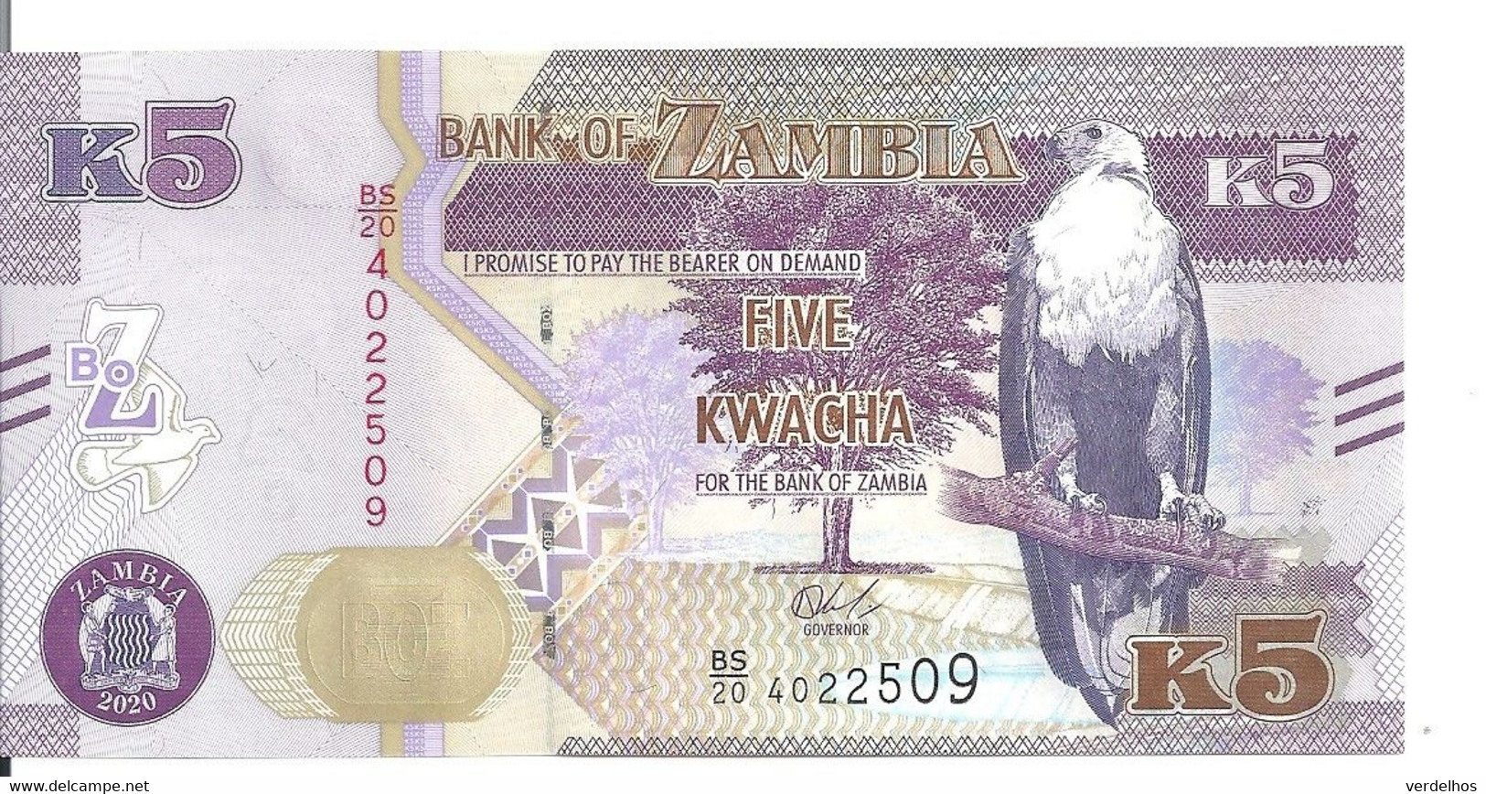 ZAMBIE 5 KWACHA 2020 UNC P New - Zambia