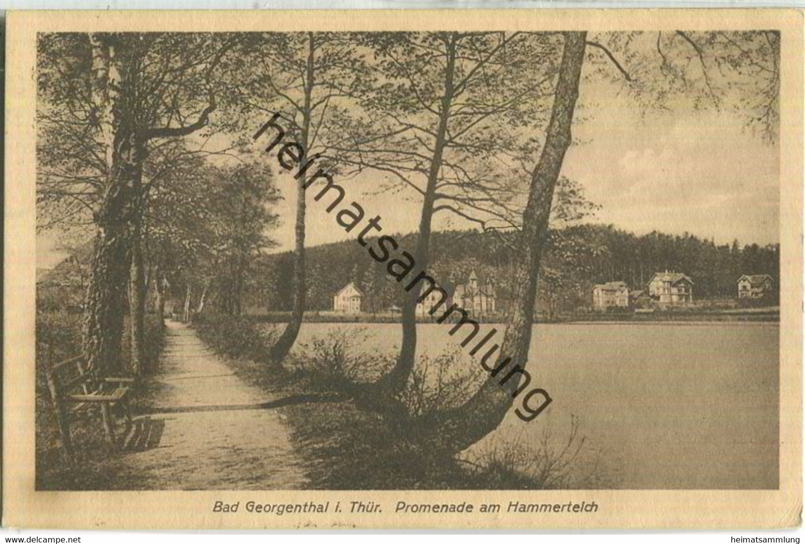 Bad Georgenthal - Promenade Am Hammerteich - Verlag Alex Voigt Georgenthal - Georgenthal